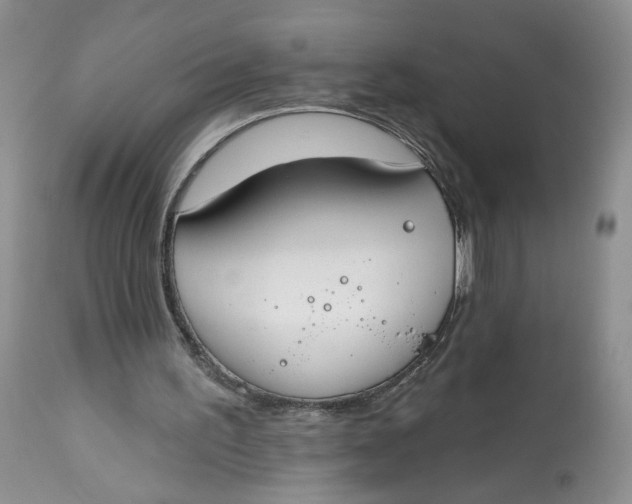 X0000112800195200909111244