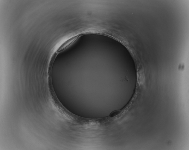 X0000112800196200909111244