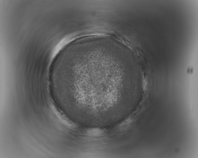 X0000112800198200909111244