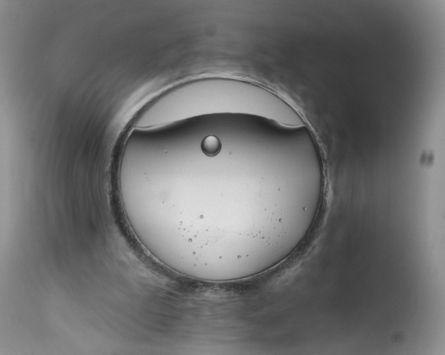 X0000112800199200909111243