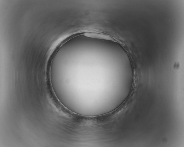 X0000112800200200909111243