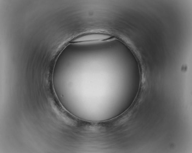 X0000112800201200909111243