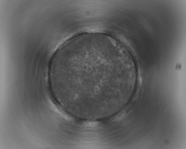 X0000112800202200909111243