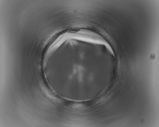 X0000112800203200909111243