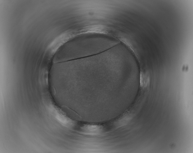 X0000112800205200909111243