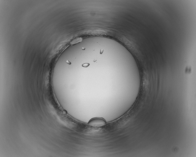 X0000112800206200909111243