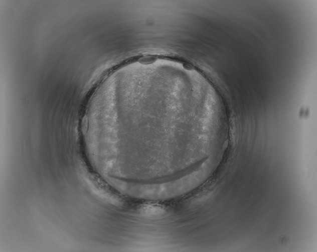 X0000112800207200909111243