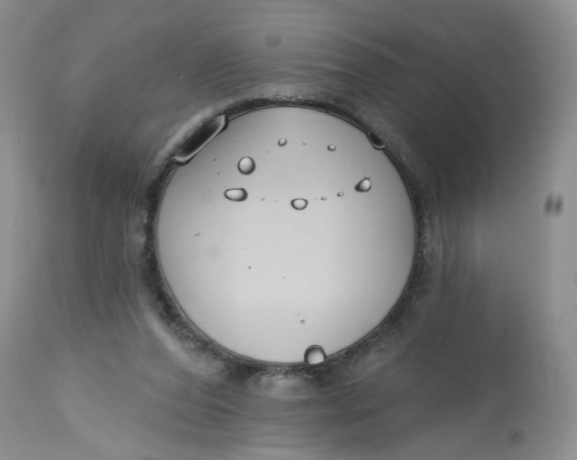 X0000112800208200909111243