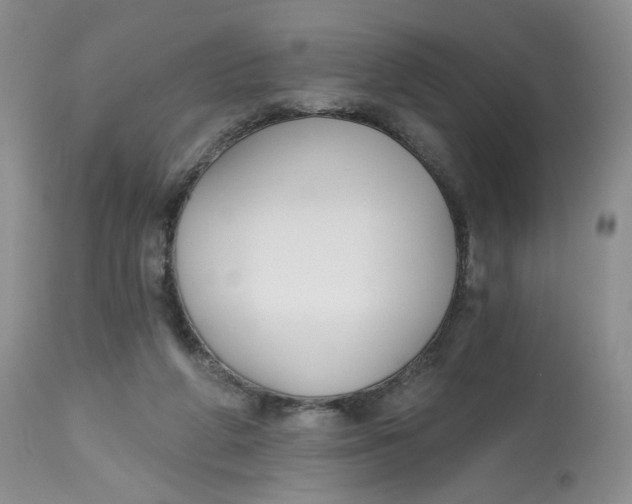 X0000112800210200909111243