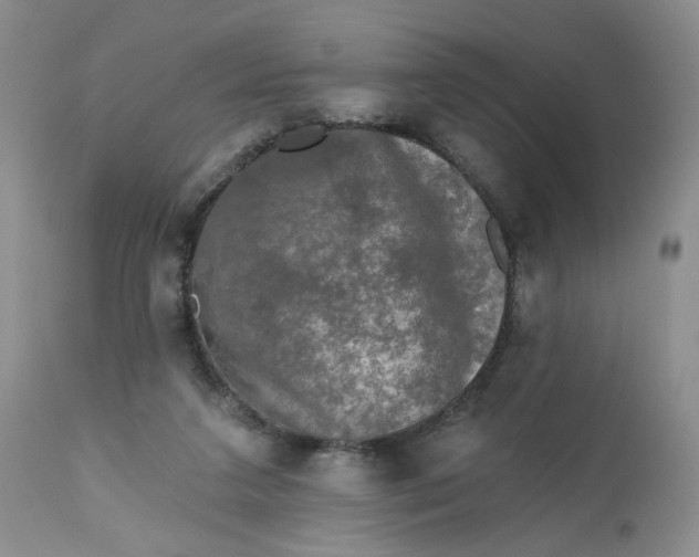 X0000112800211200909111243