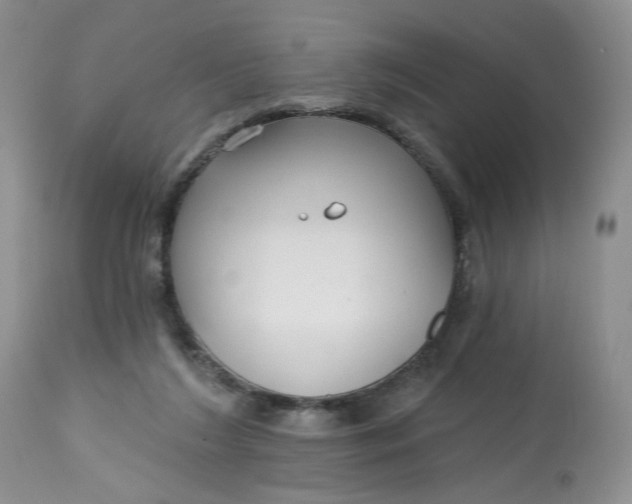 X0000112800212200909111243