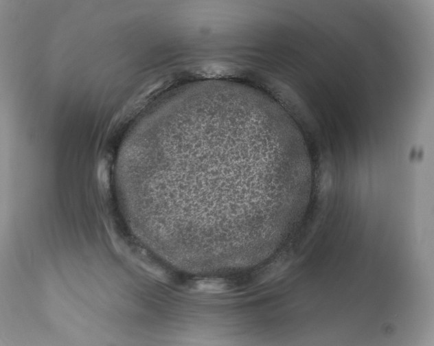 X0000112800214200909111243