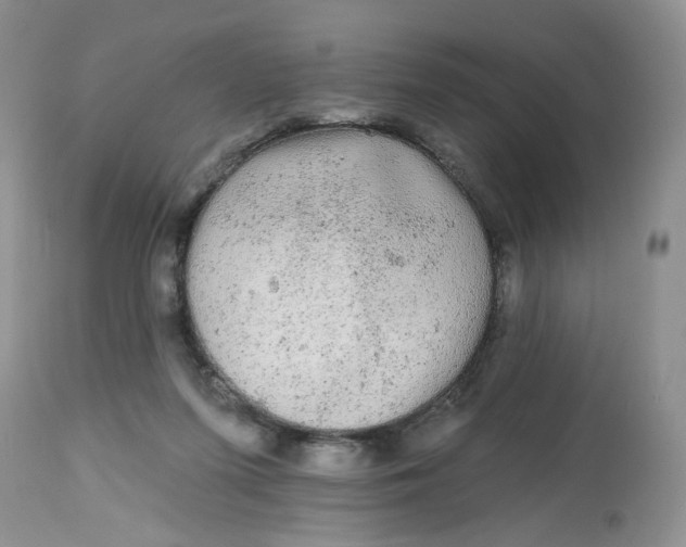 X0000112800215200909111243