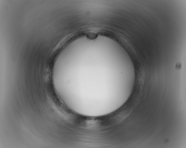 X0000112800216200909111243