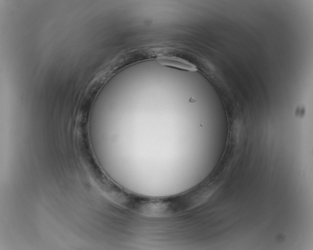 X0000112800217200909111243