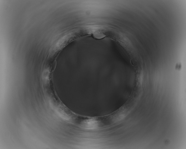 X0000112800219200909111243