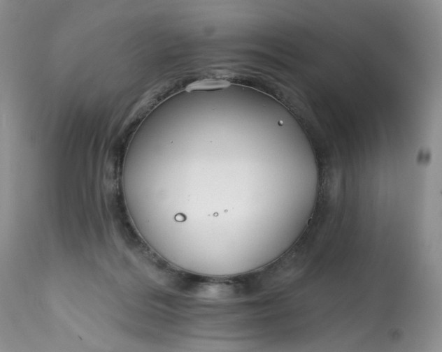 X0000112800220200909111243