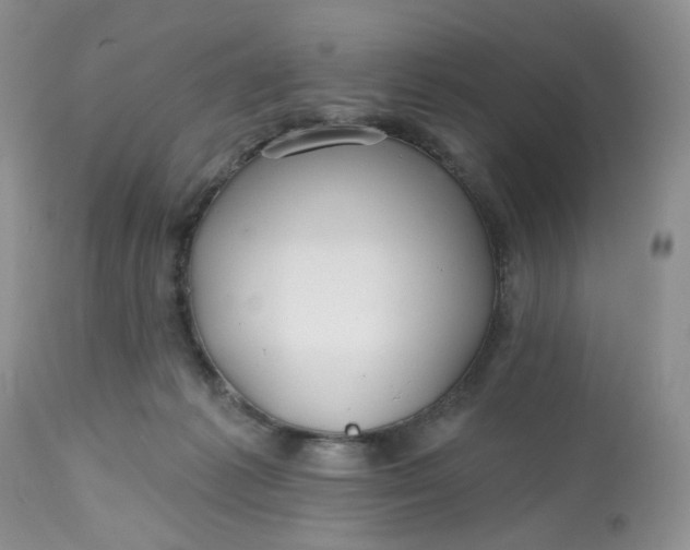 X0000112800221200909111243