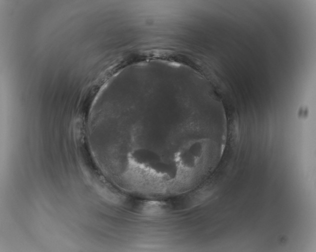 X0000112800222200909111243