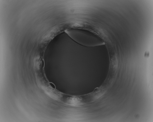 X0000112800223200909111243