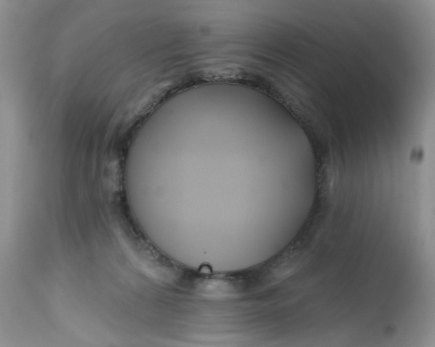 X0000112800224200909111243