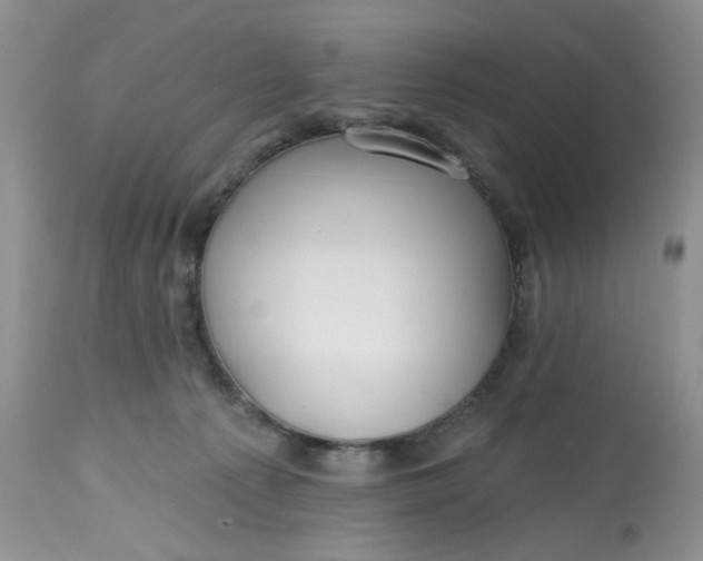 X0000112800225200909111243