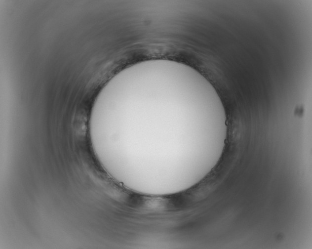 X0000112800226200909111243