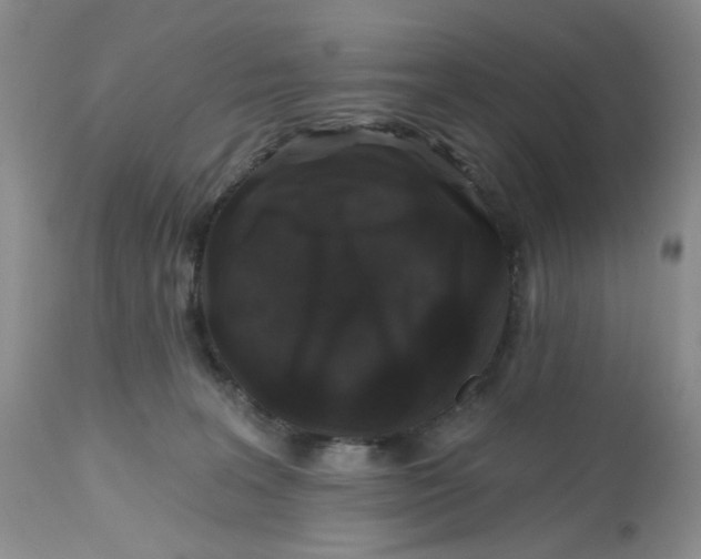 X0000112800227200909111243