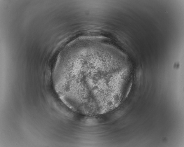 X0000112800228200909111243