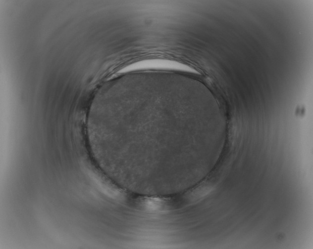 X0000112800229200909111243