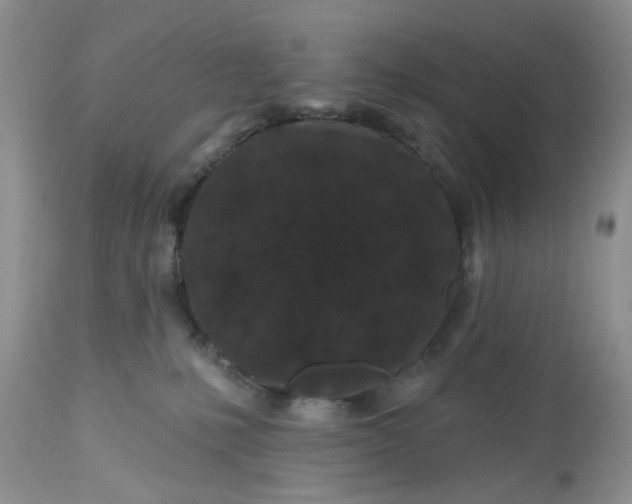 X0000112800231200909111243