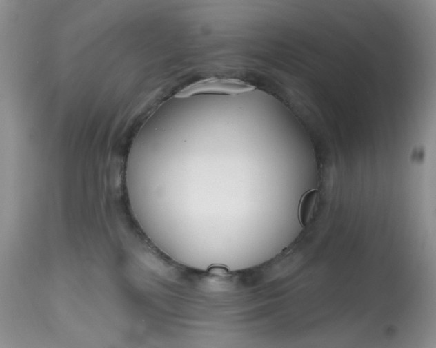 X0000112800232200909111243