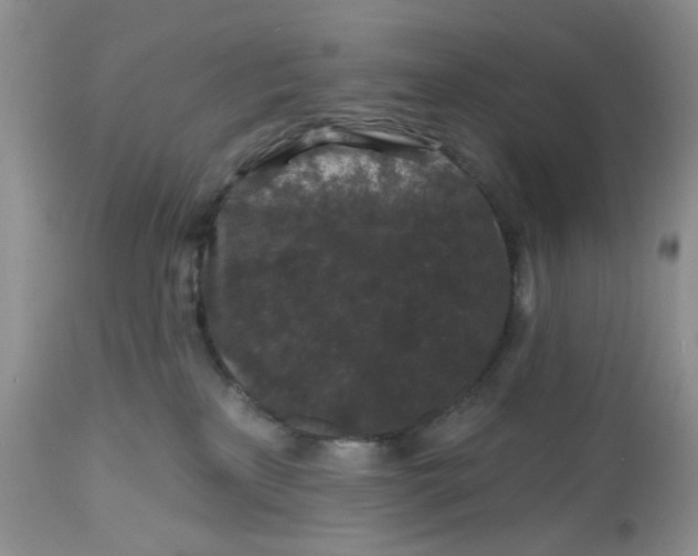 X0000112800233200909111243