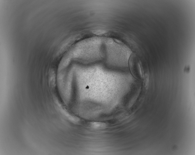 X0000112800234200909111243