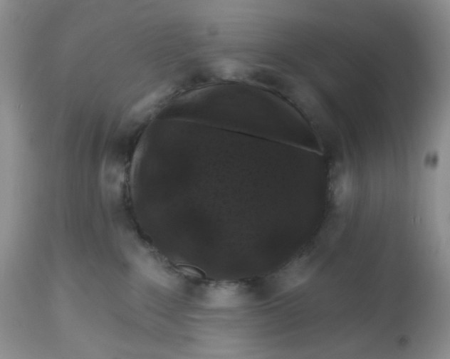 X0000112800235200909111243