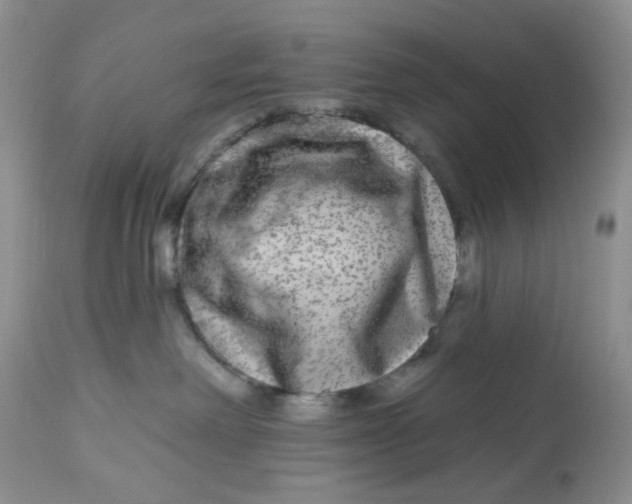 X0000112800238200909111243