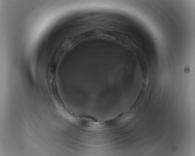 X0000112800239200909111243