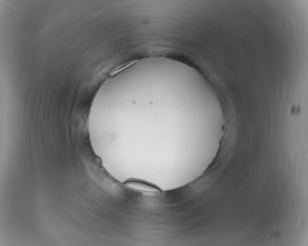 X0000112800240200909111243