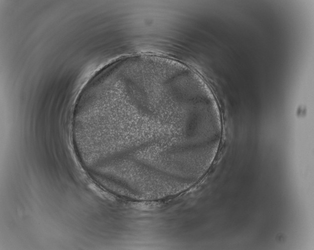 X0000112800241200909111242