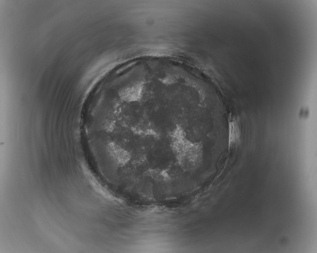 X0000112800243200909111242