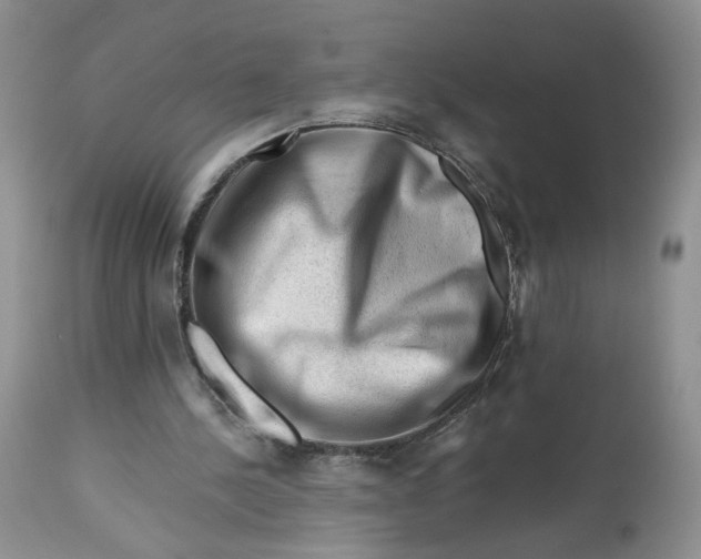 X0000112800244200909111242