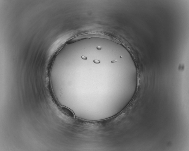 X0000112800245200909111242