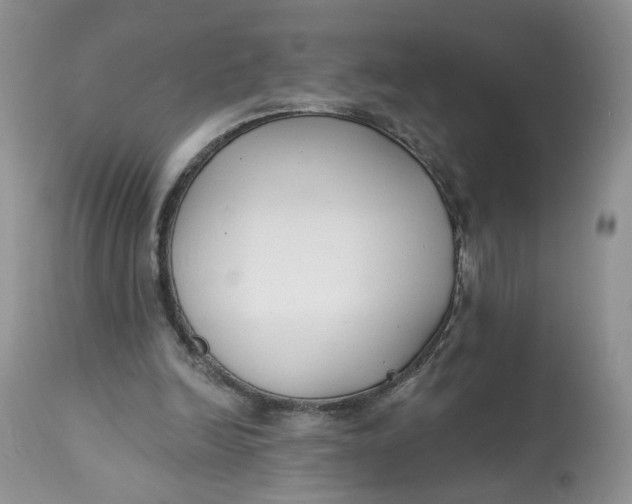 X0000112800246200909111242