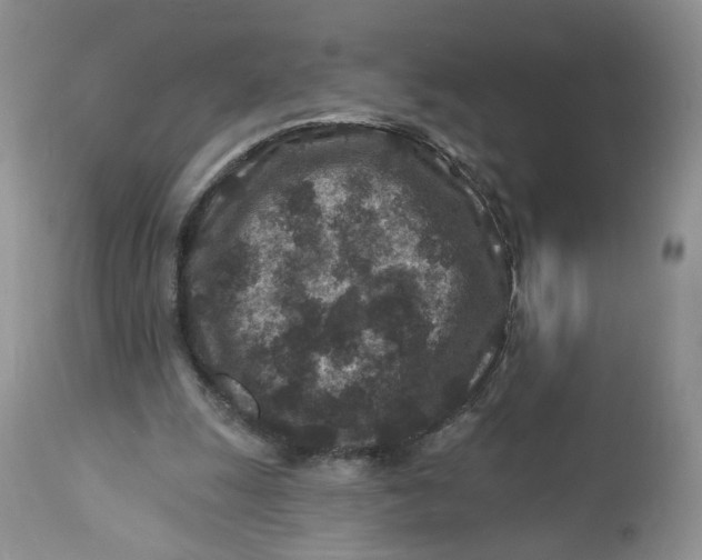 X0000112800247200909111242