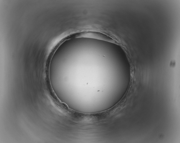 X0000112800248200909111242