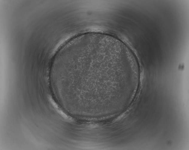 X0000112800249200909111242