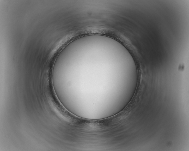 X0000112800250200909111242