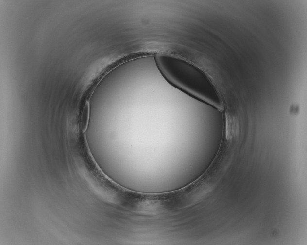 X0000112800252200909111242