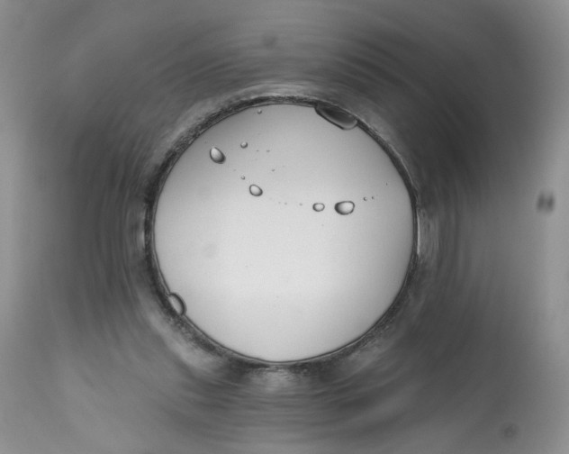 X0000112800253200909111242