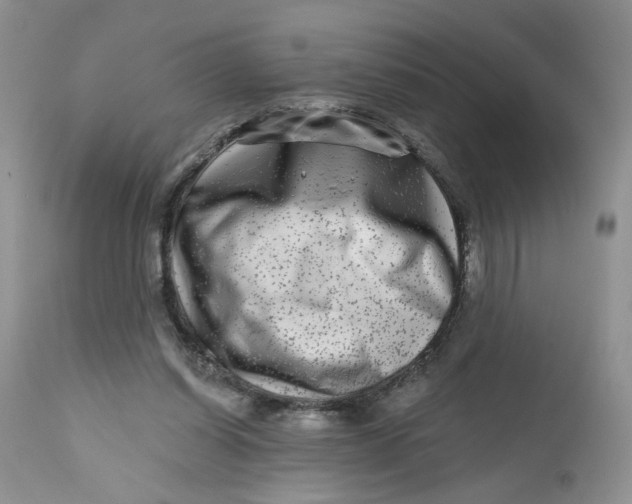 X0000112800254200909111242